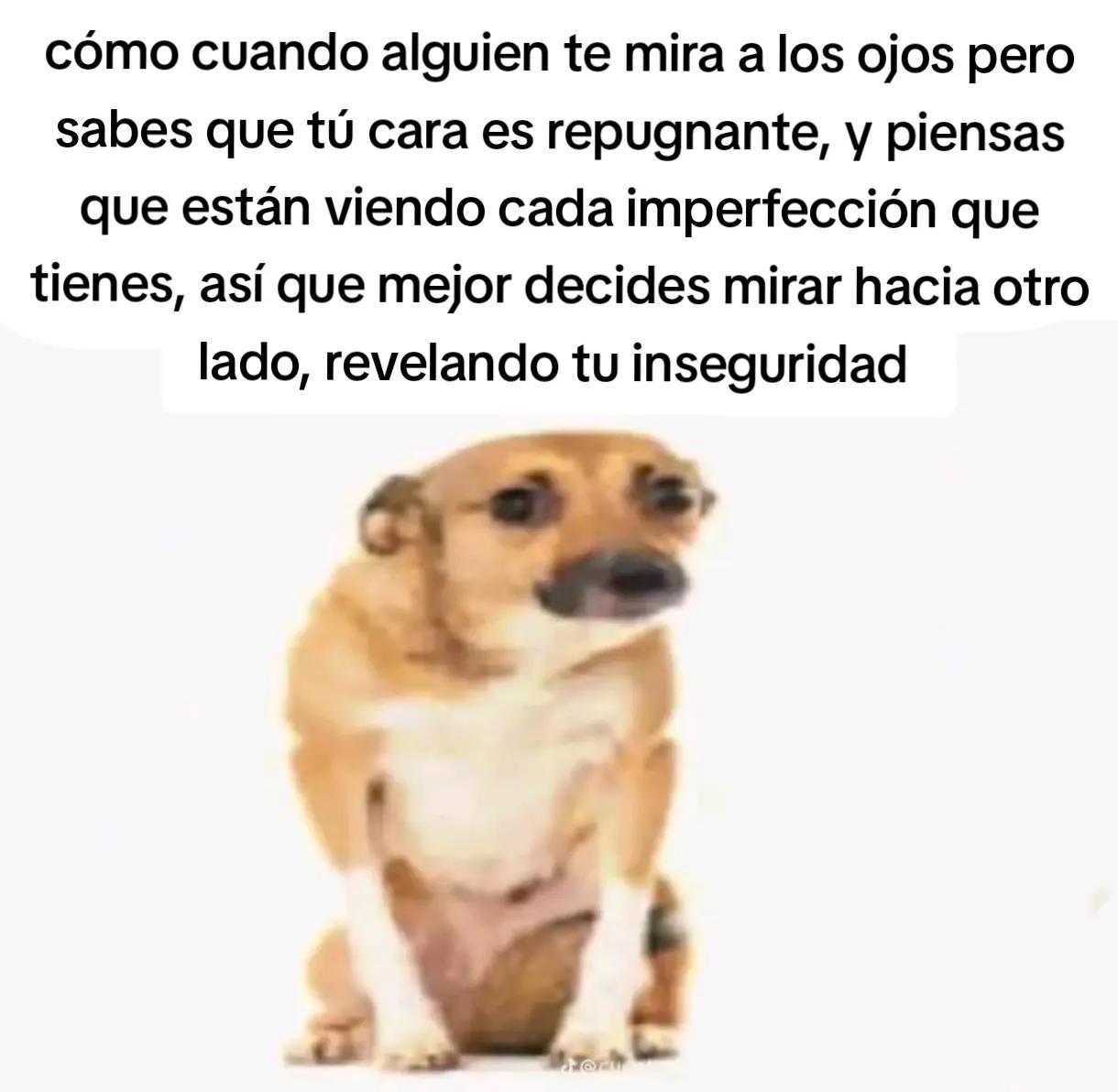@papupro
