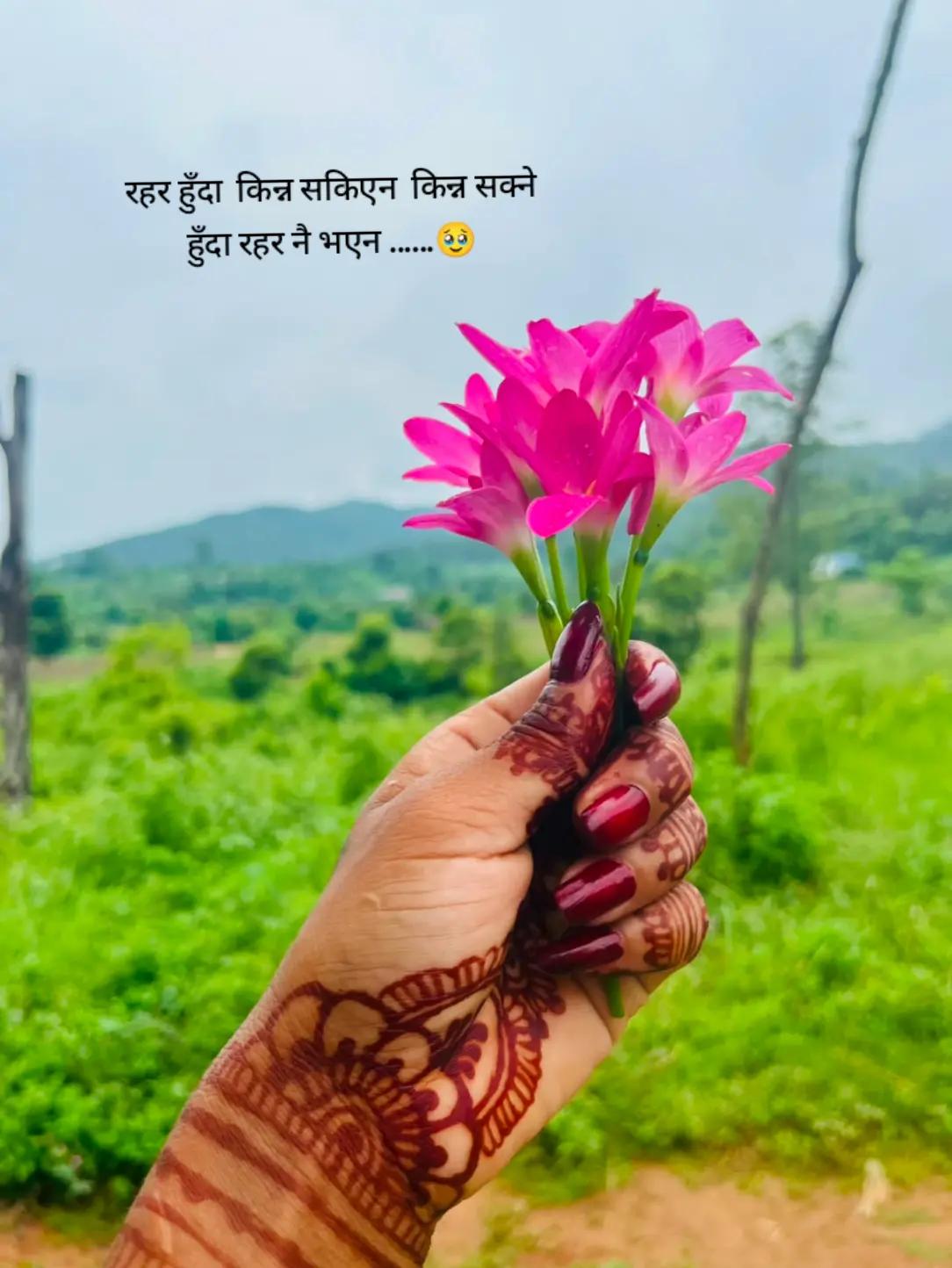 @kanxi💐😘