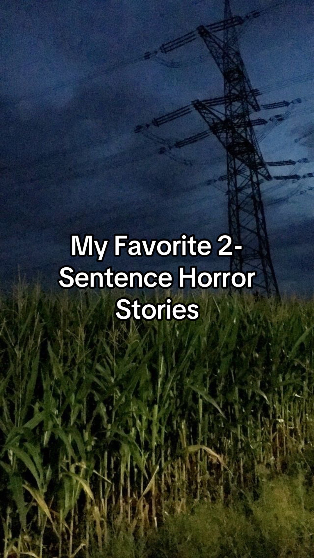 @Megan's Horror 🩶
