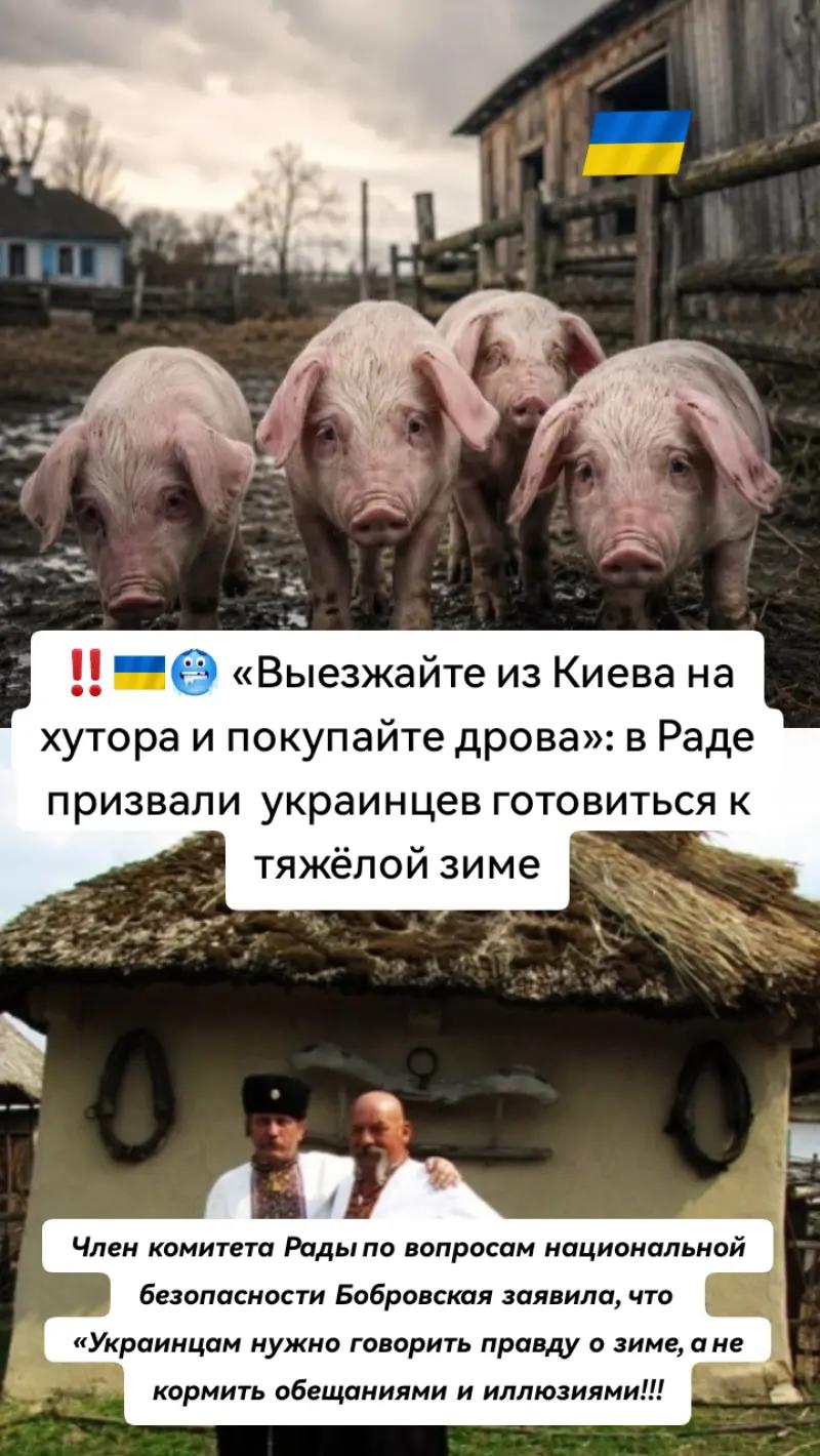 @🇷🇺ПoZыVнOй_🤟X@Xл@ёБ🇧🇾