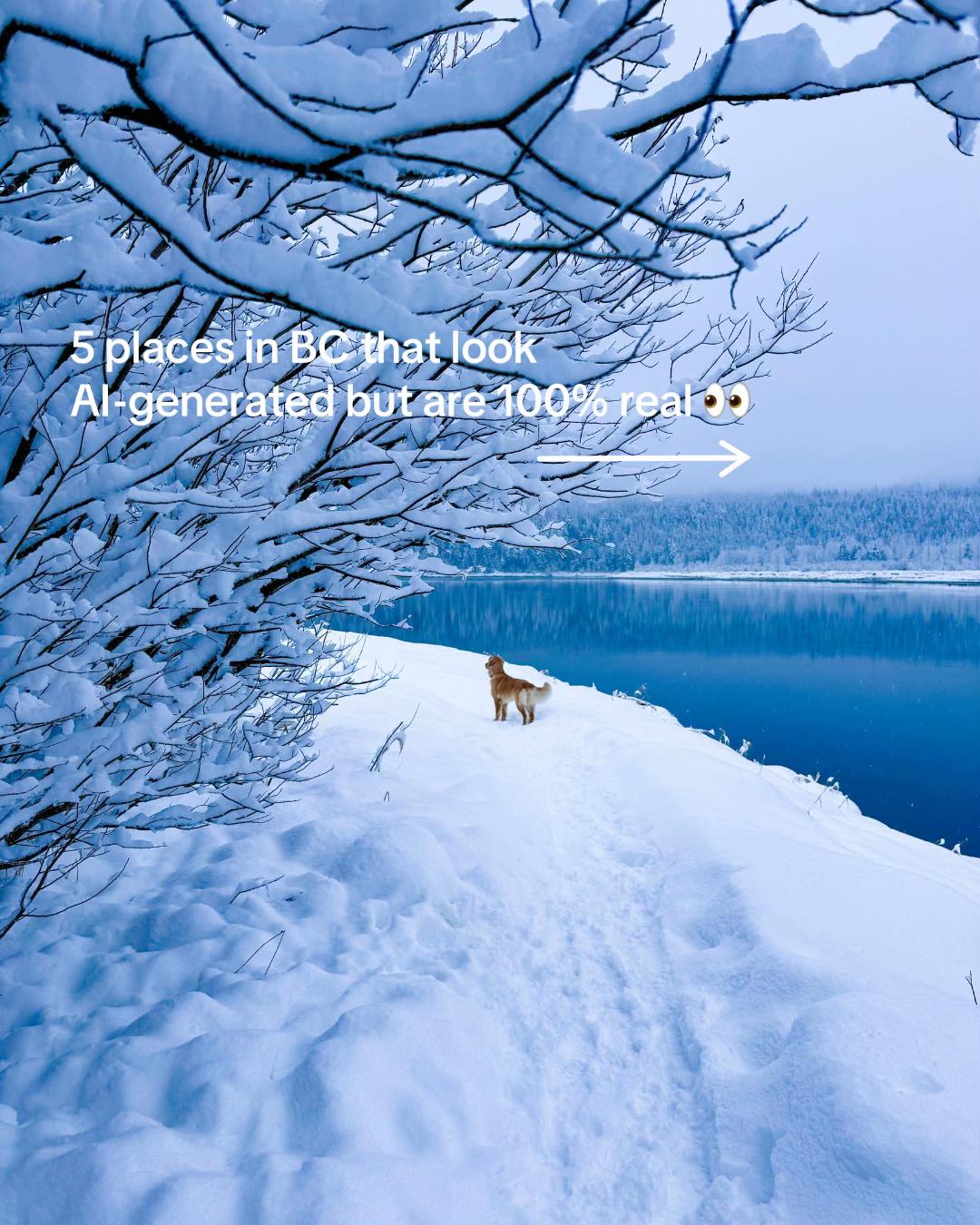 @Super, Natural BC
