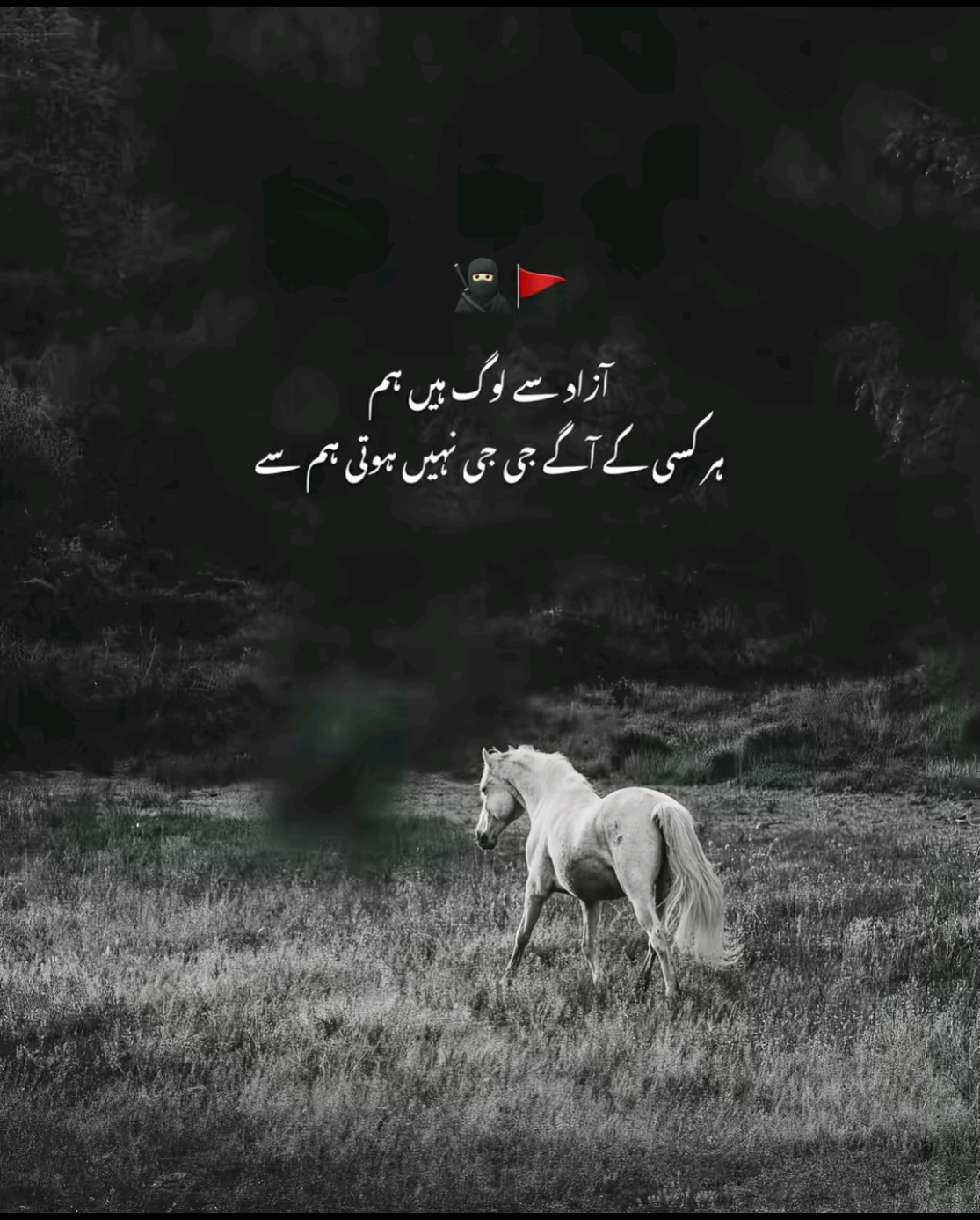 @King🚩🏴👑
