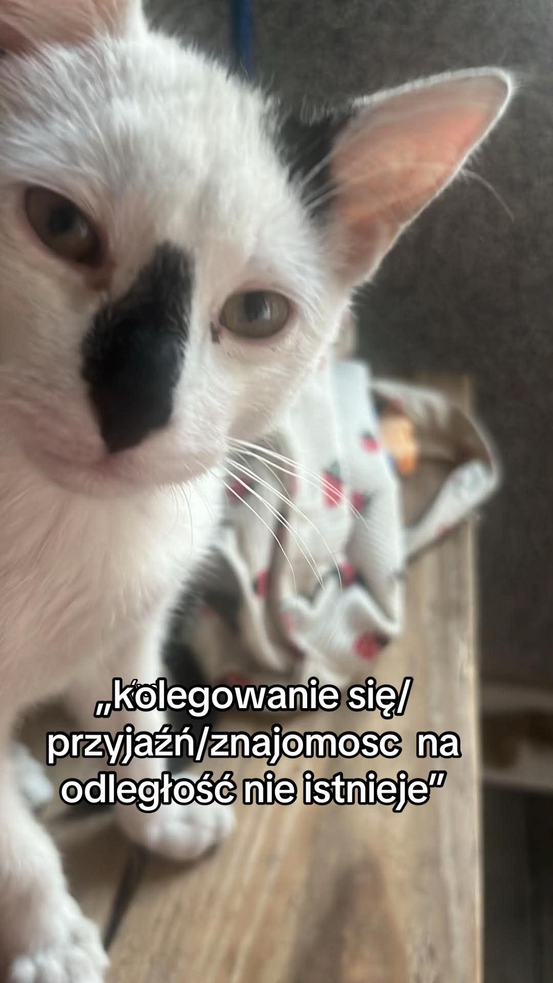 @💤