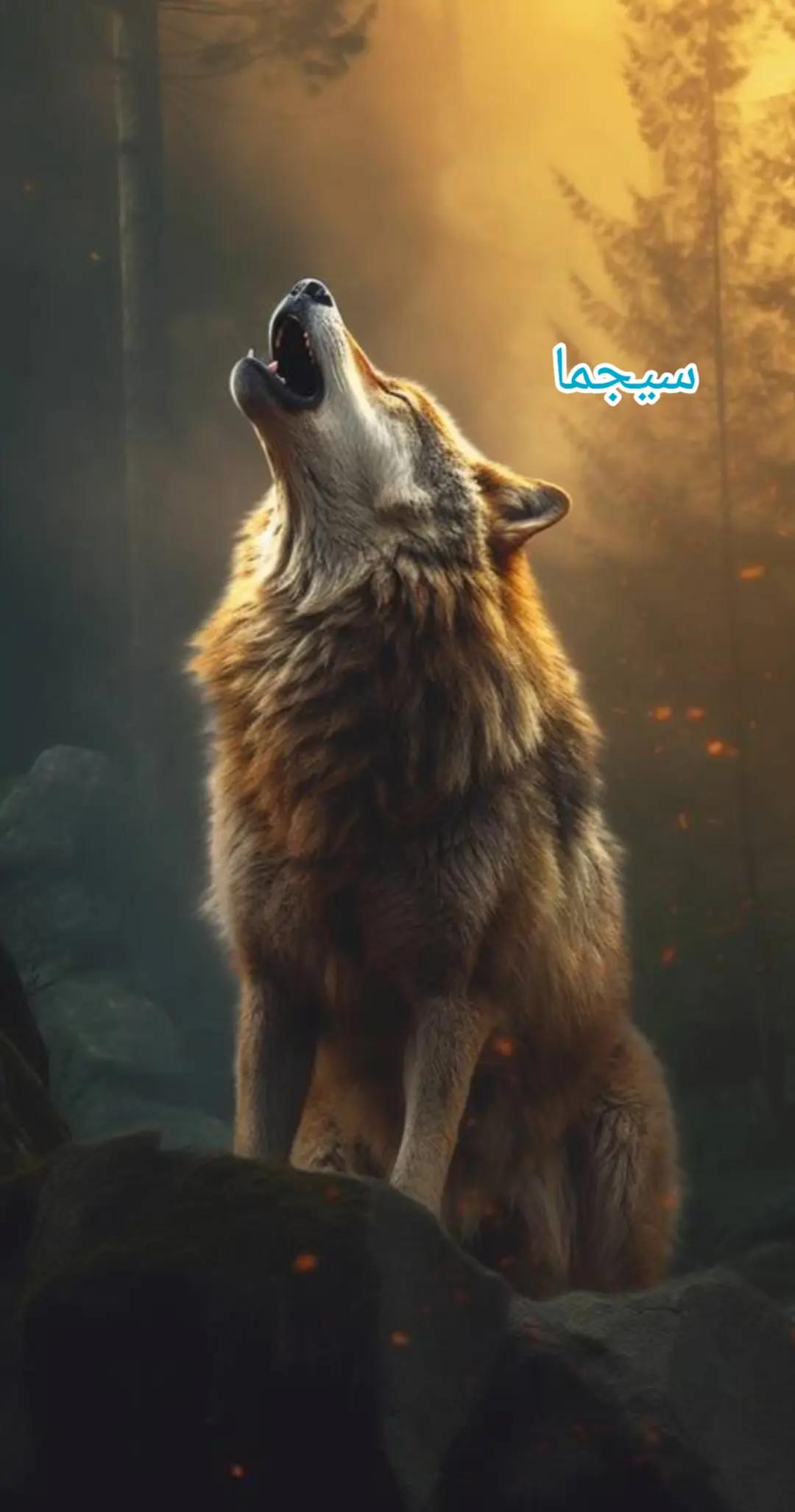 @امير الحازمي