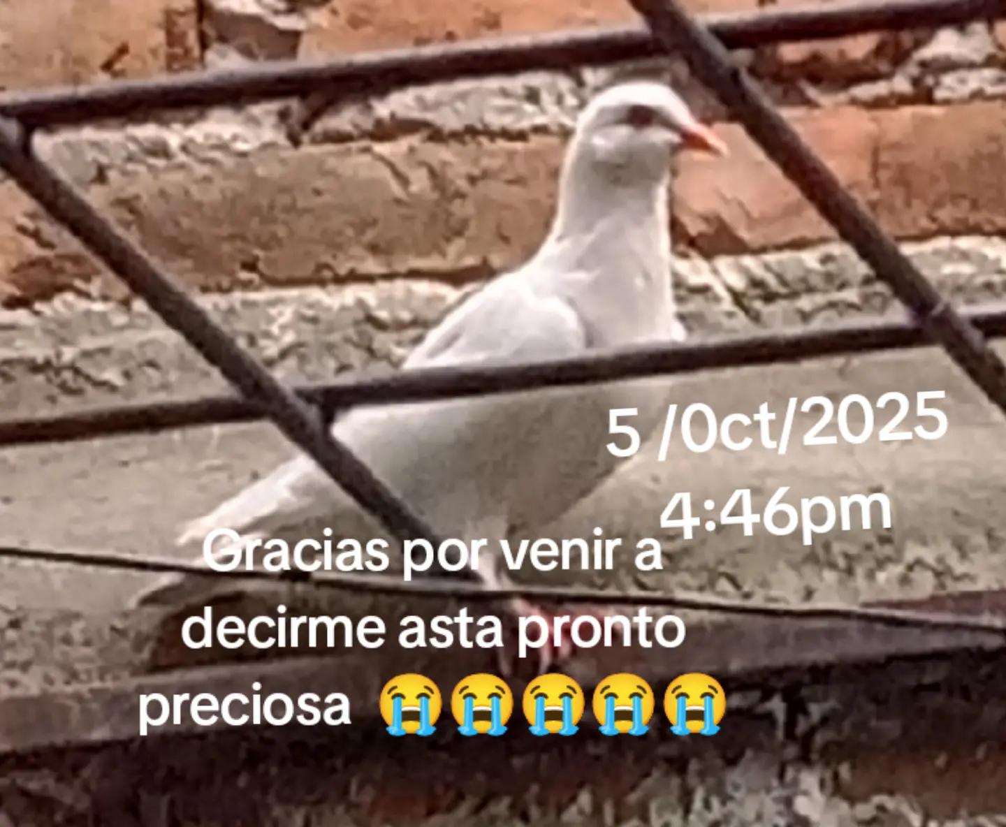 @Rubi Eliza