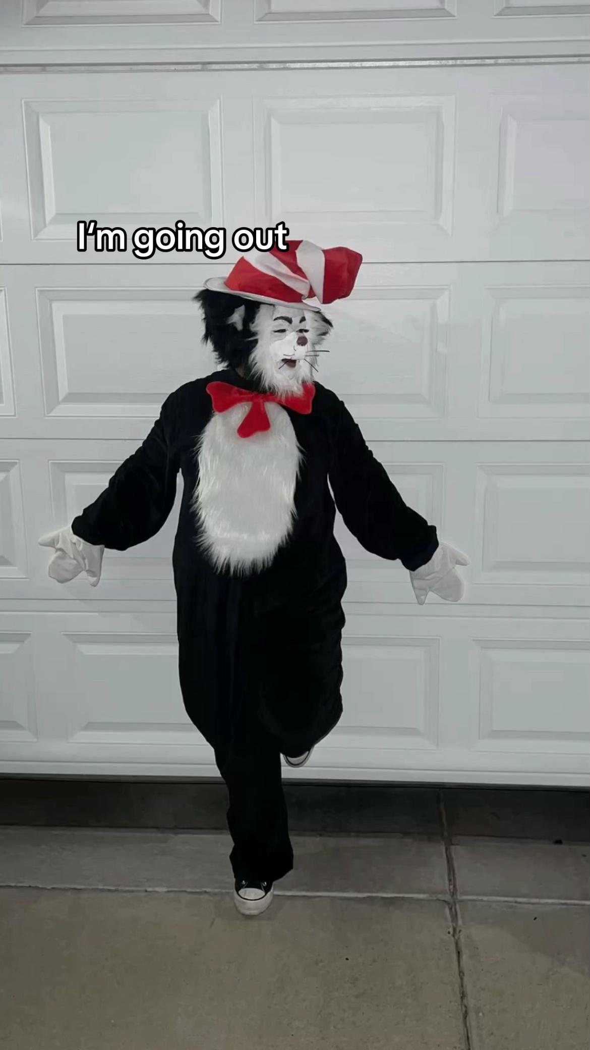 @catinthehathamm