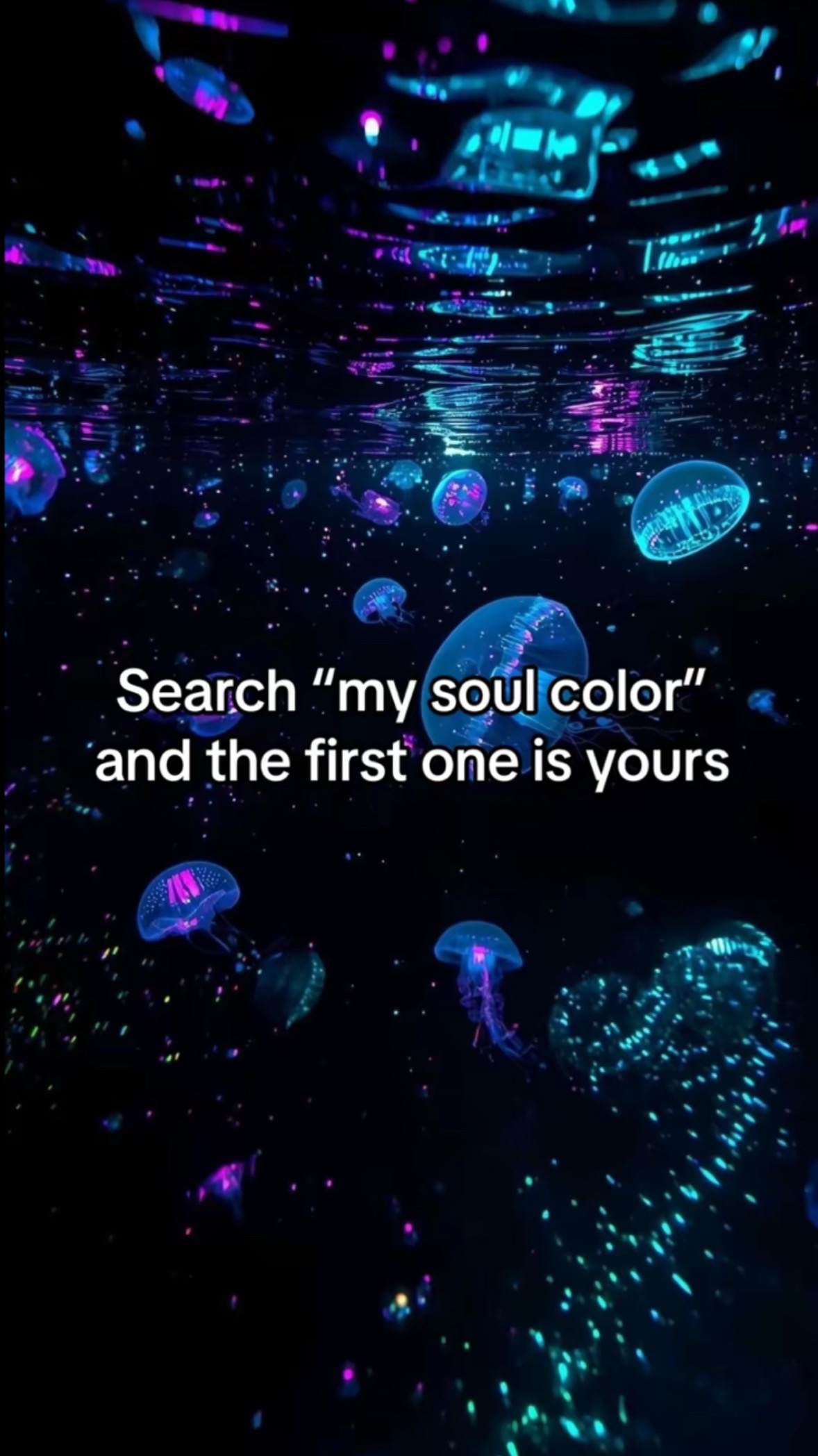 @jess.spamm.acct