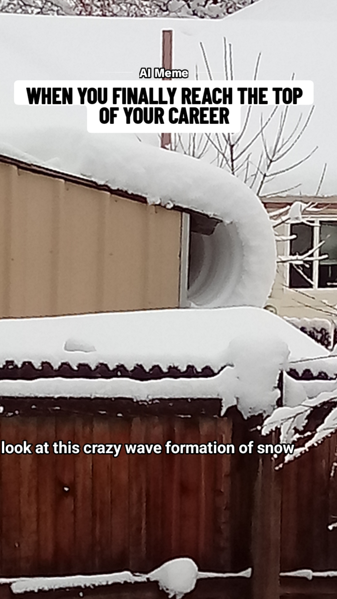 @zero.colorado