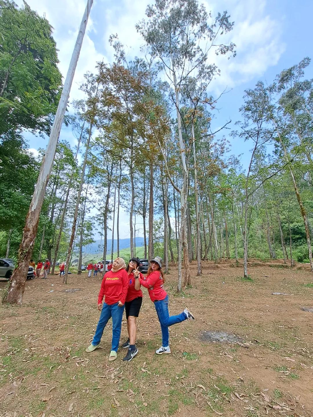 @MamCinta :)