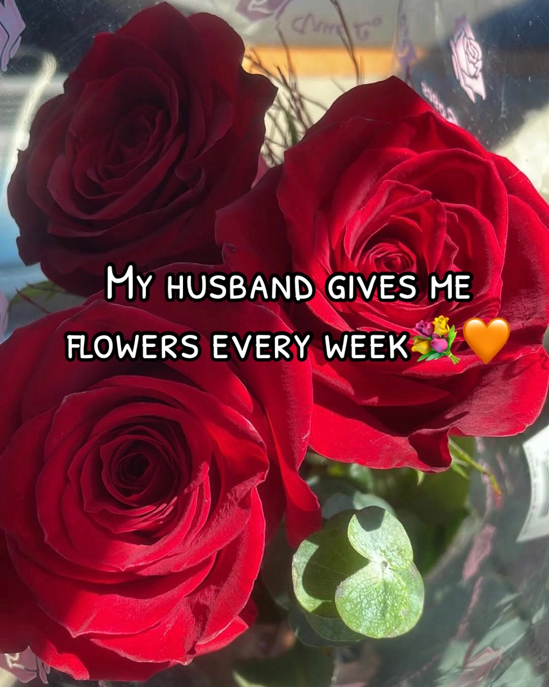 @Aasya🪄🤍