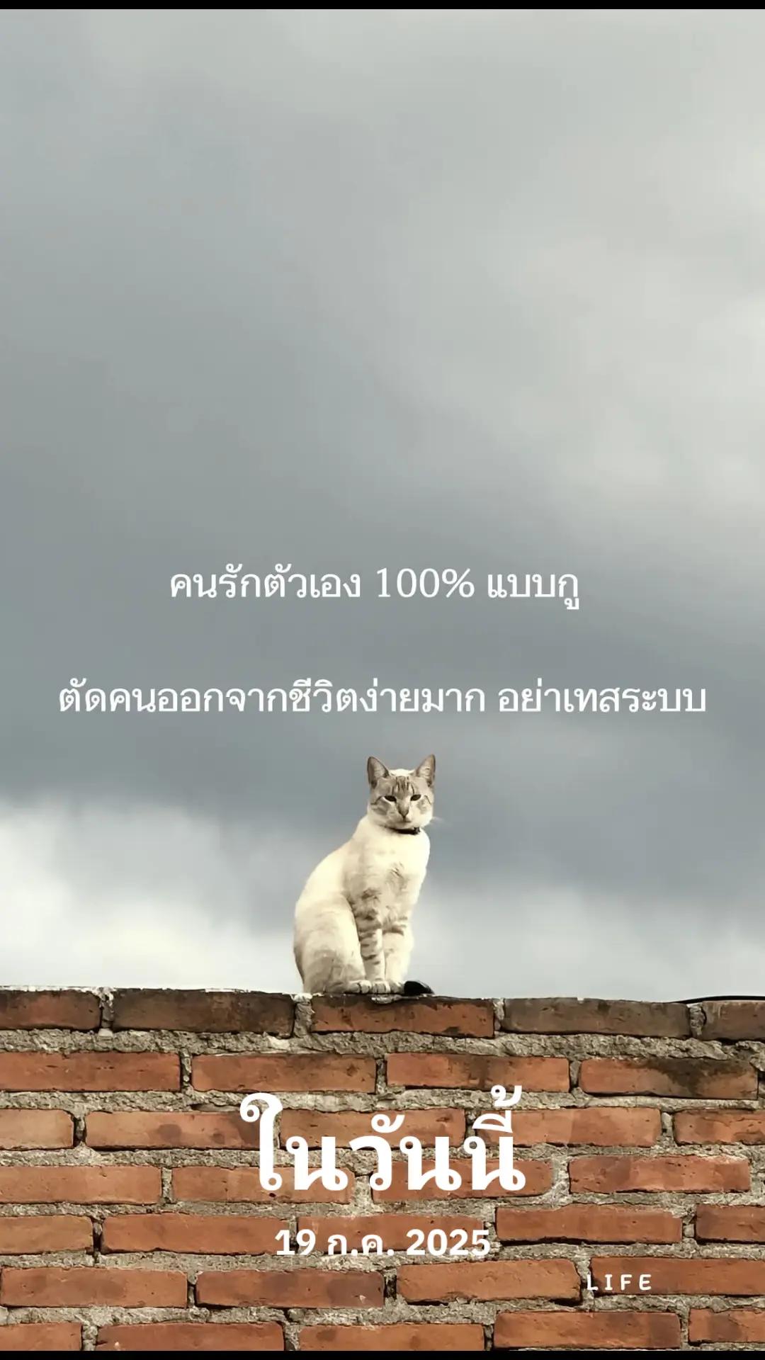 @BEe_BalckNaka