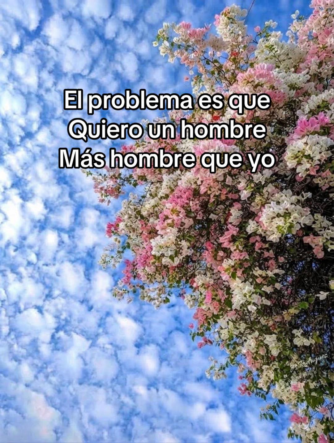 @Viviana Leal