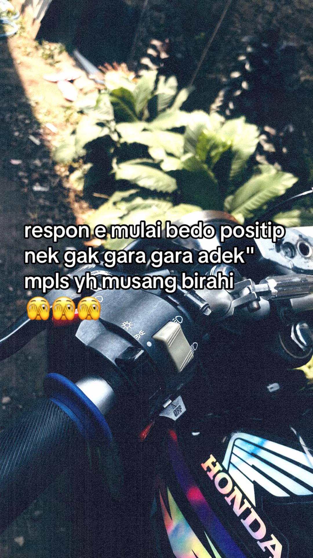 @🦅