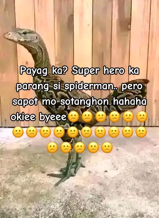 @∆§∆