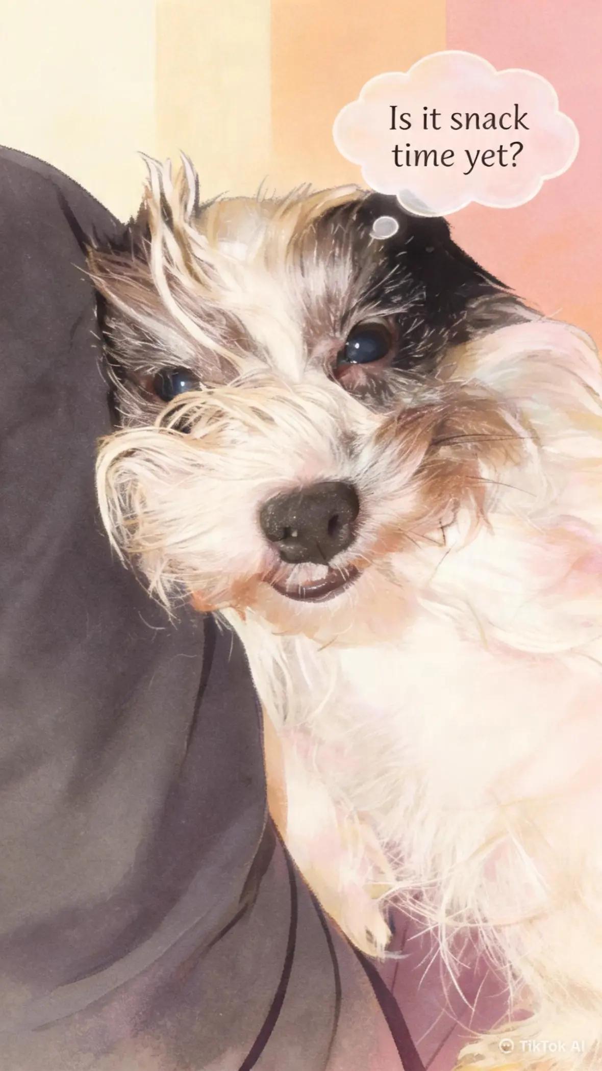 @Josh🐨