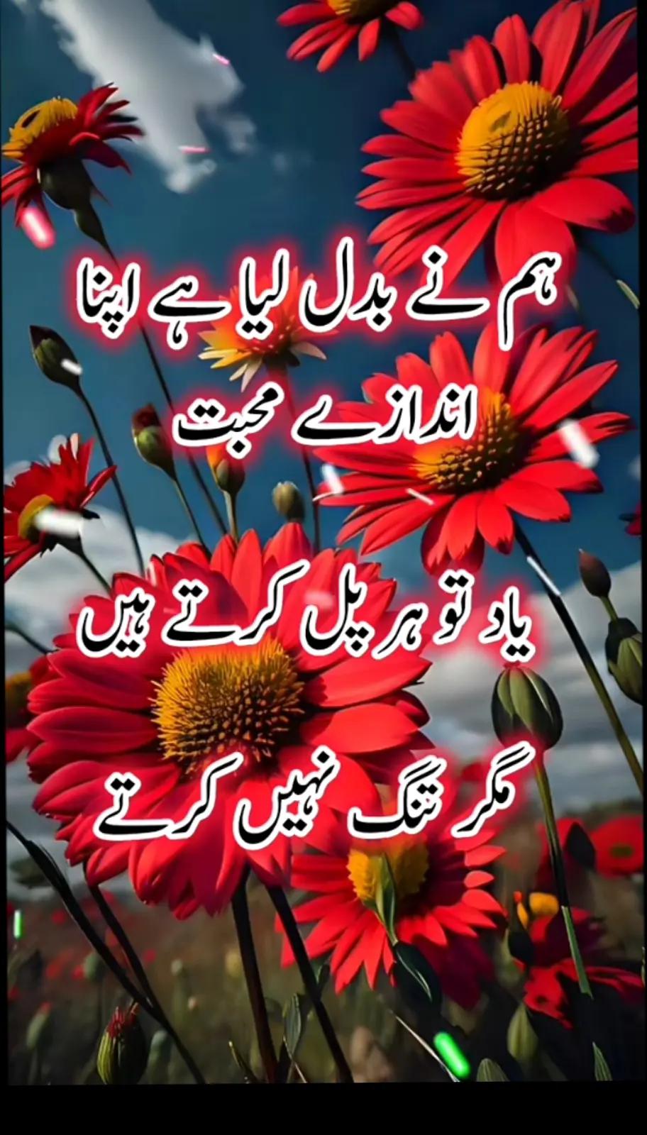 @ariba.bhatti