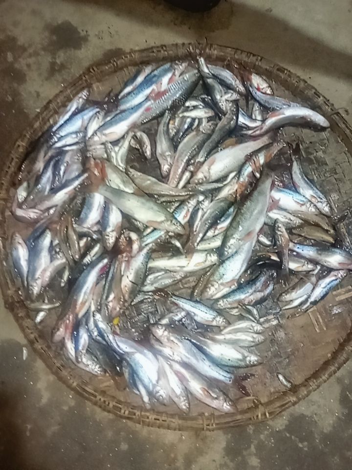 @Abhishek Rai