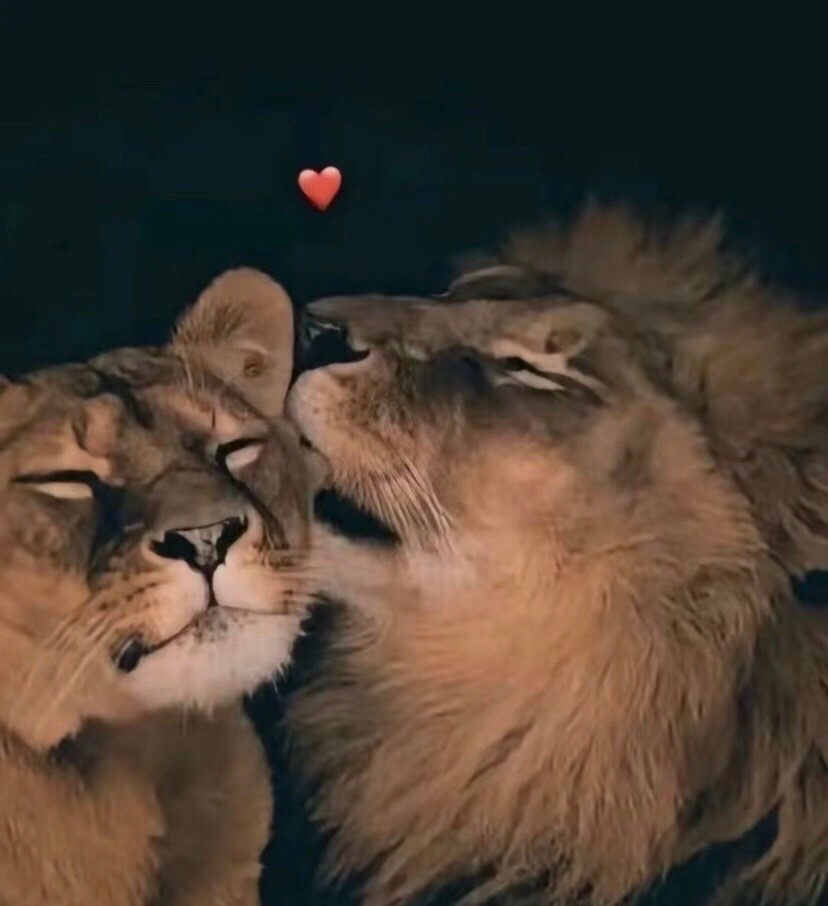 @Lcasa_wiya❤️🥀