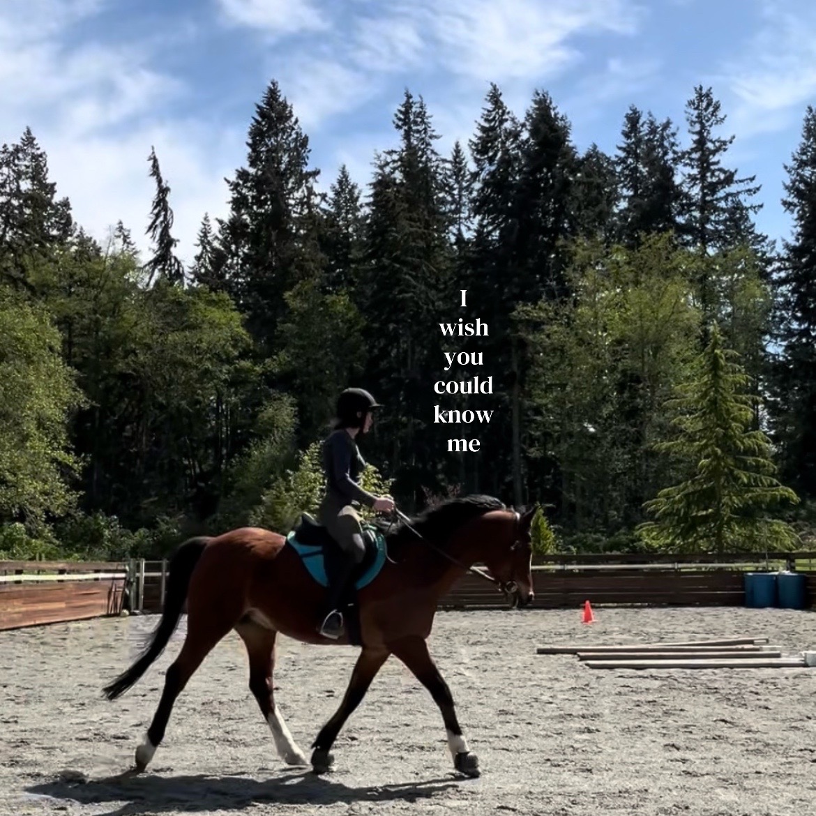 @Viv’s Ponies