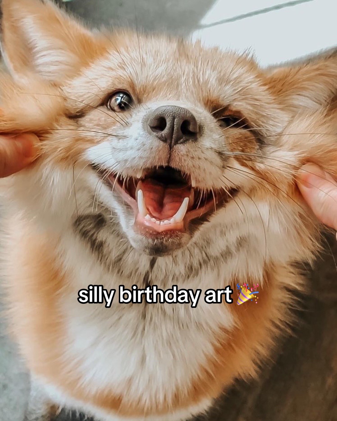 @Rae🐾