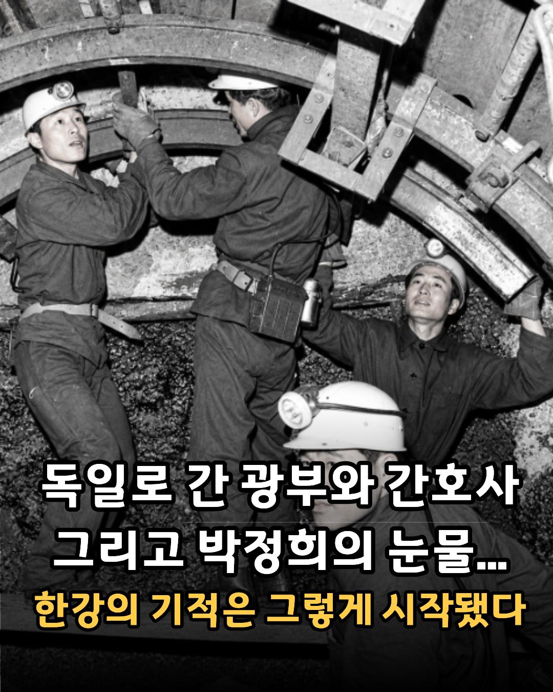 @1001의 지혜