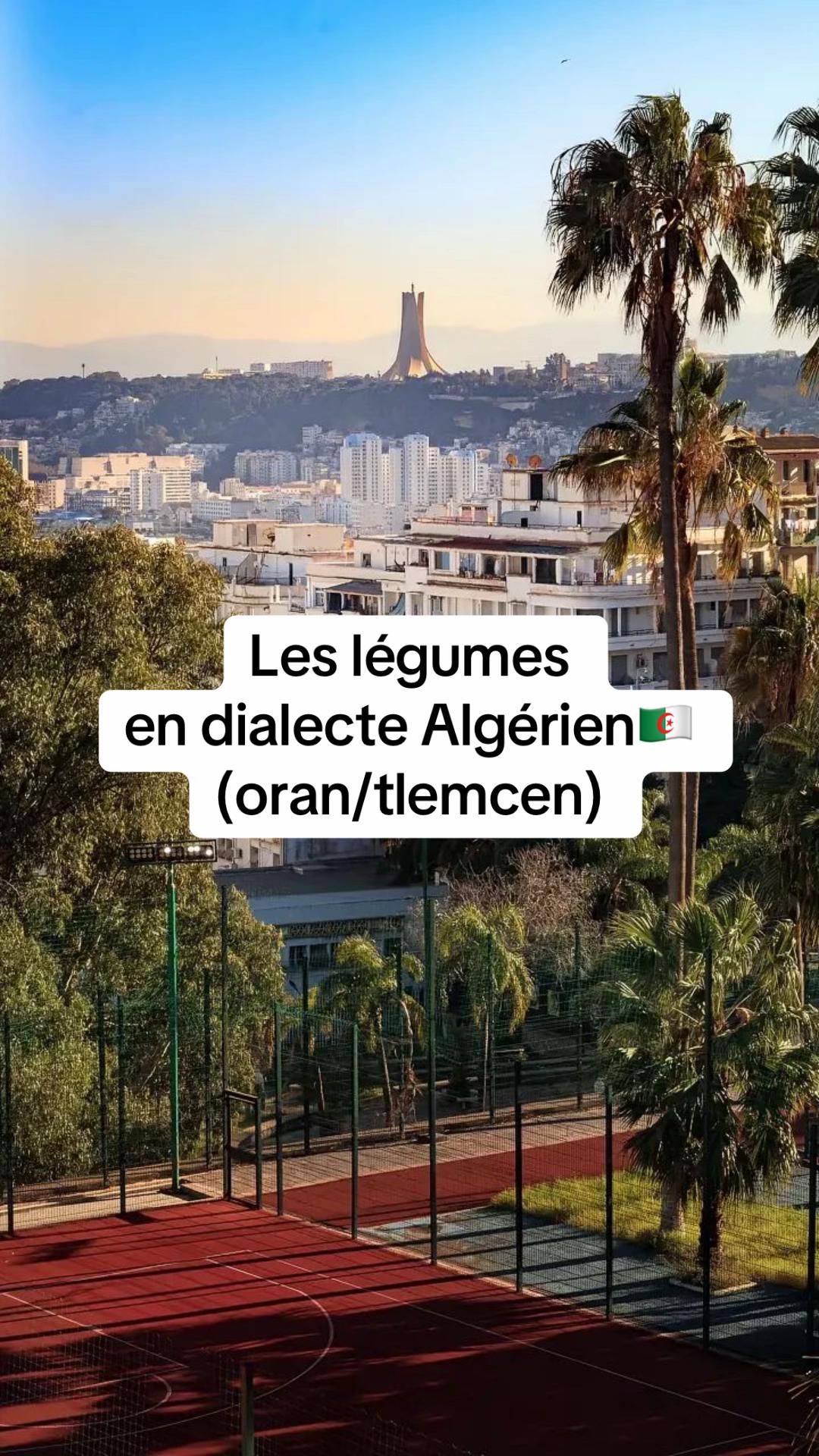 @🇩🇿