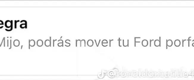 @Gustavo Frias501