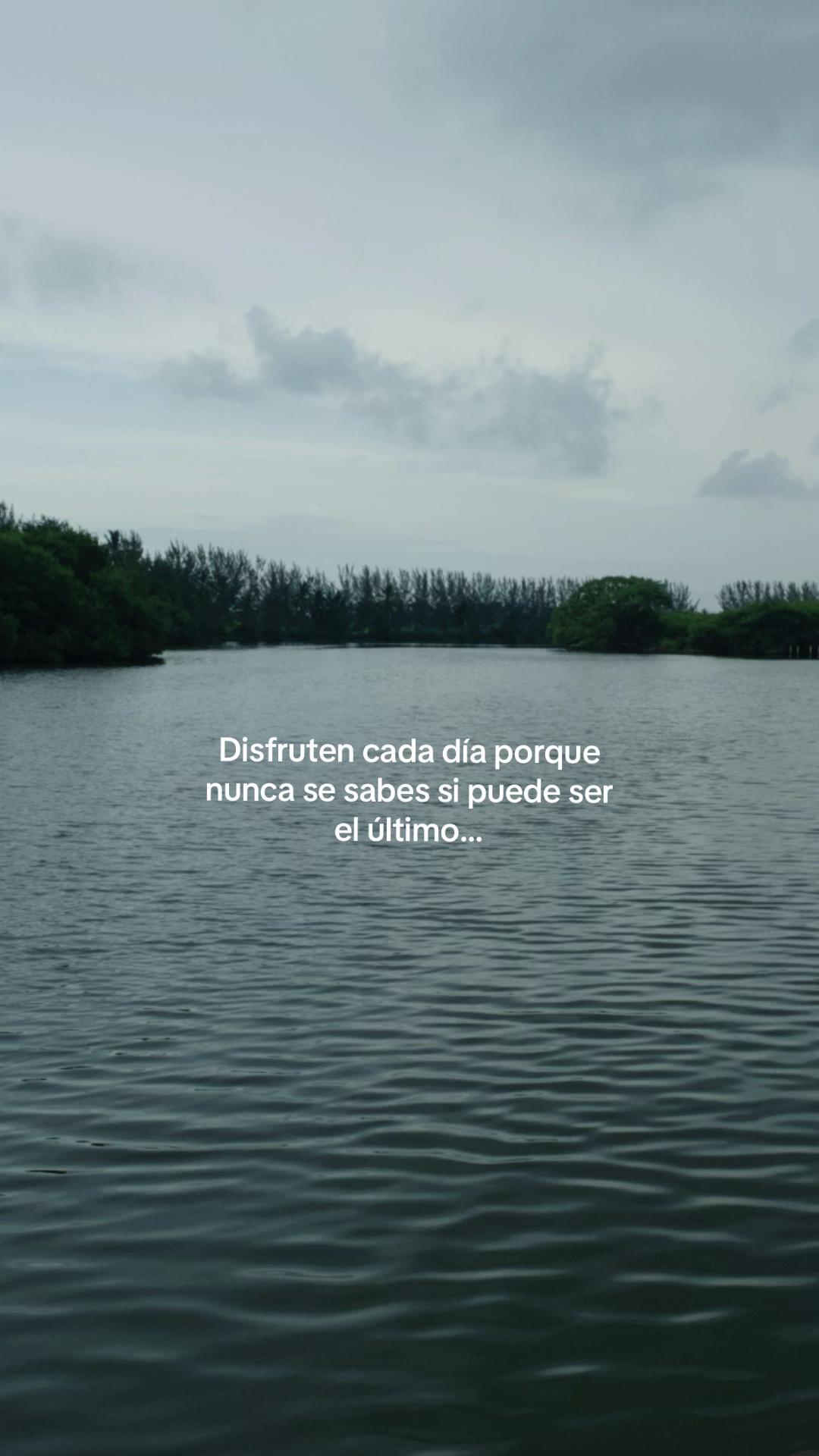 @camiluu
