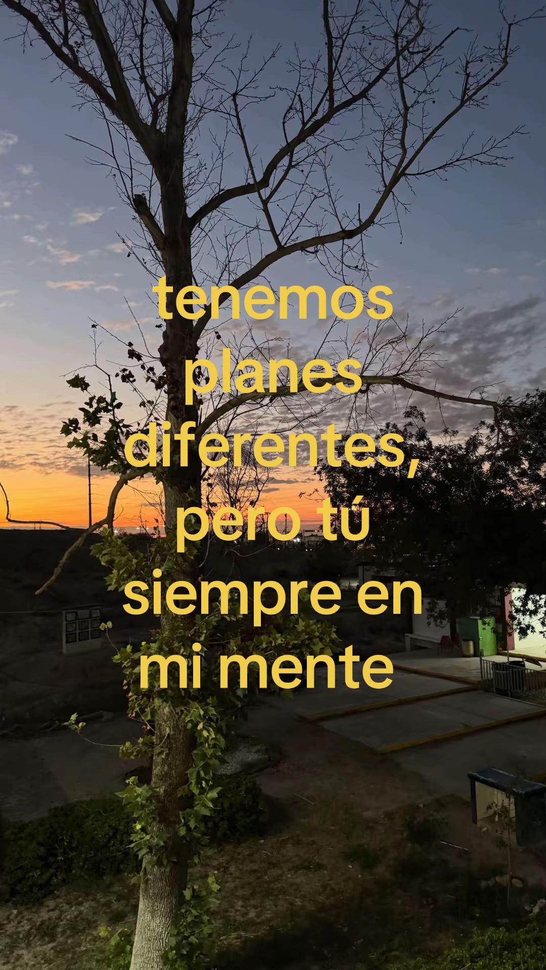 @cammi