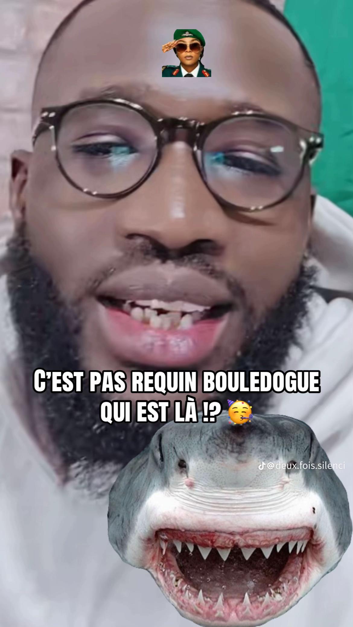 @Ya-pas-chien🐕-Ya-pas-chat🐈