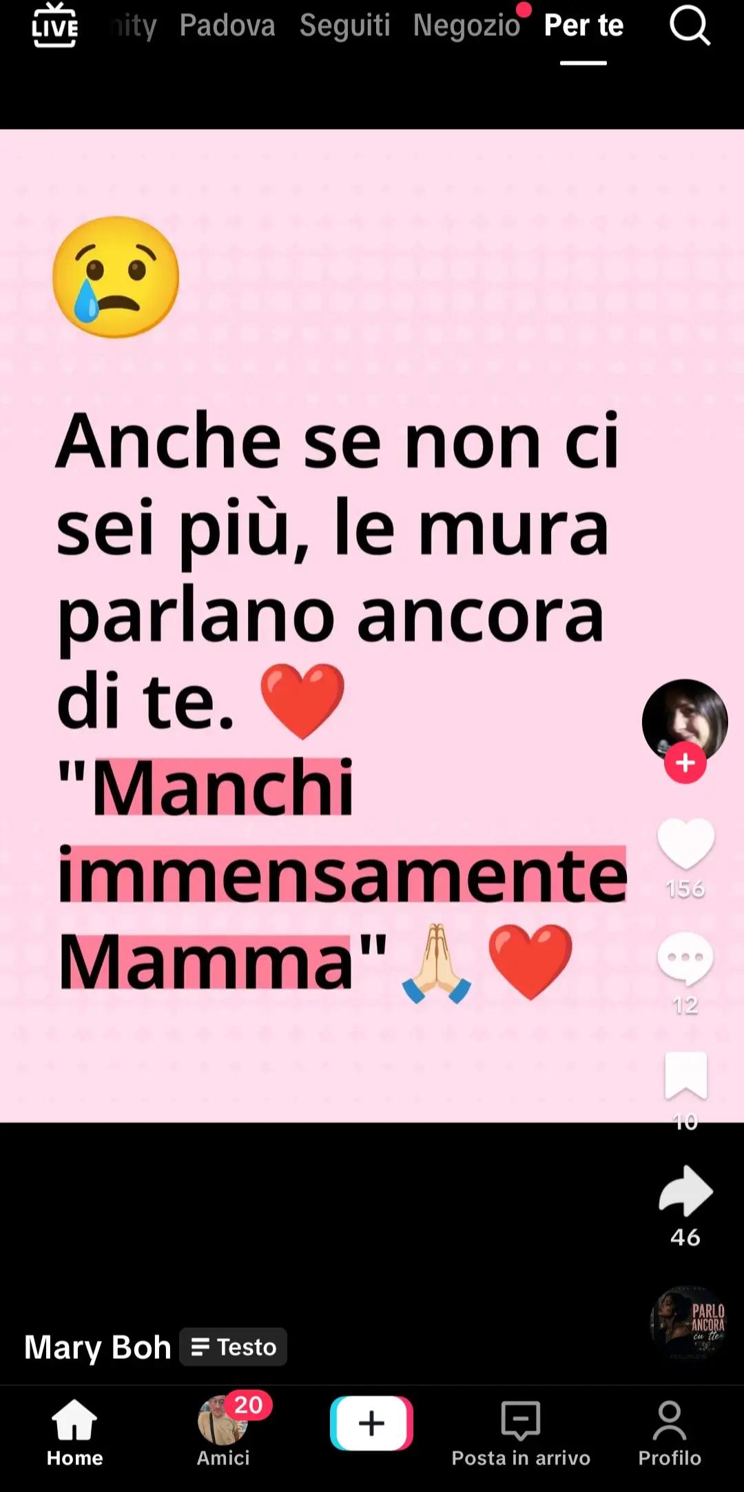 @anna andretta