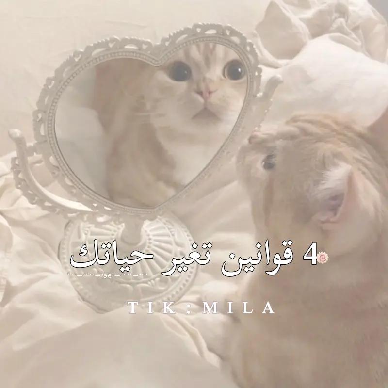 @مــيلا كـٓـات المتواضعةة 🐸💗❕
