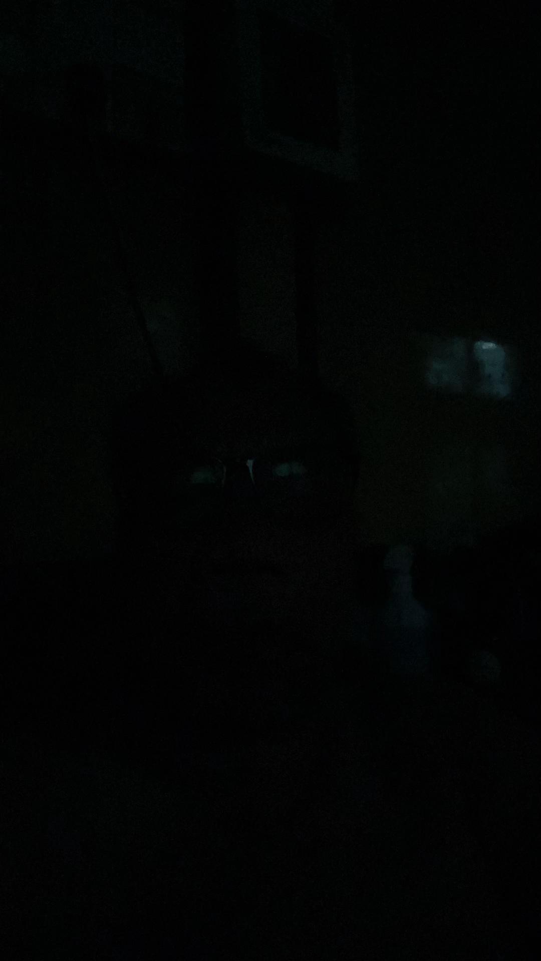 @jaiszuhdi&reg;