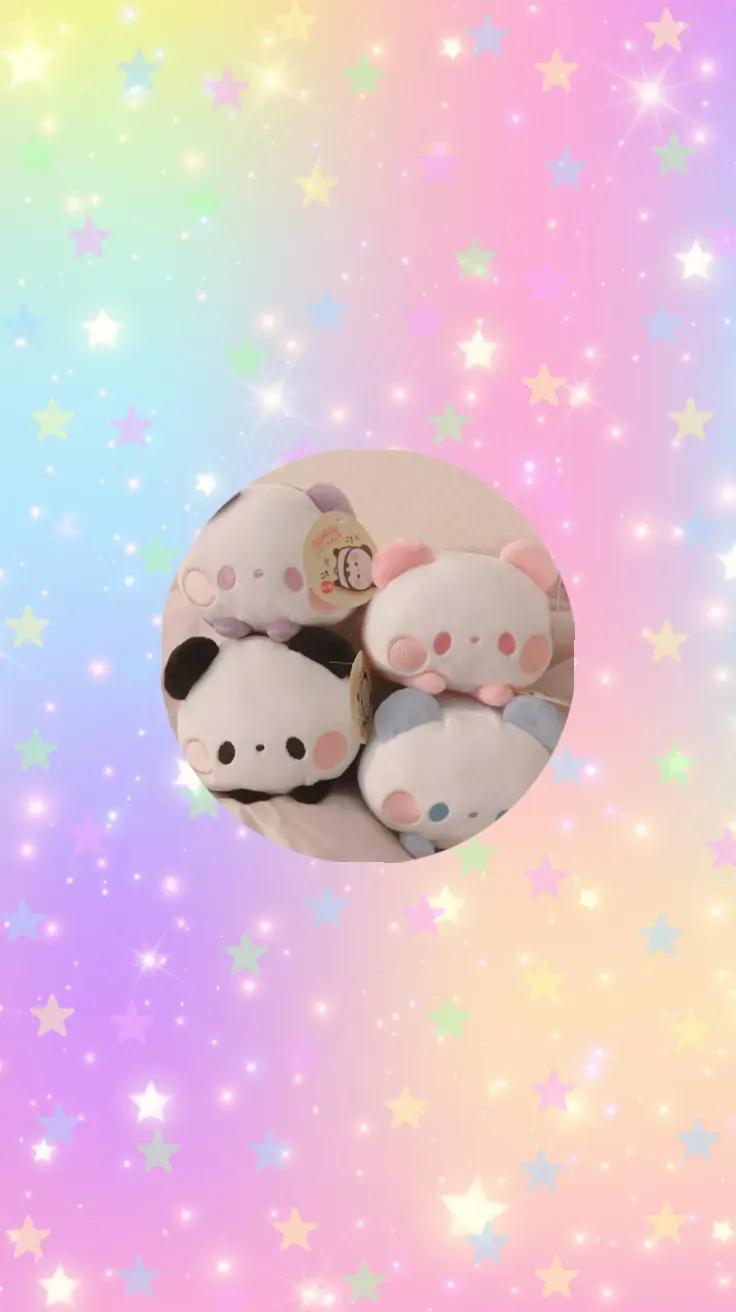 @My daughter's dog Bocchi✅️