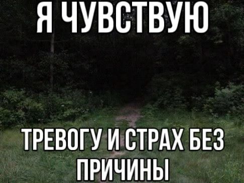 @fortin??ed