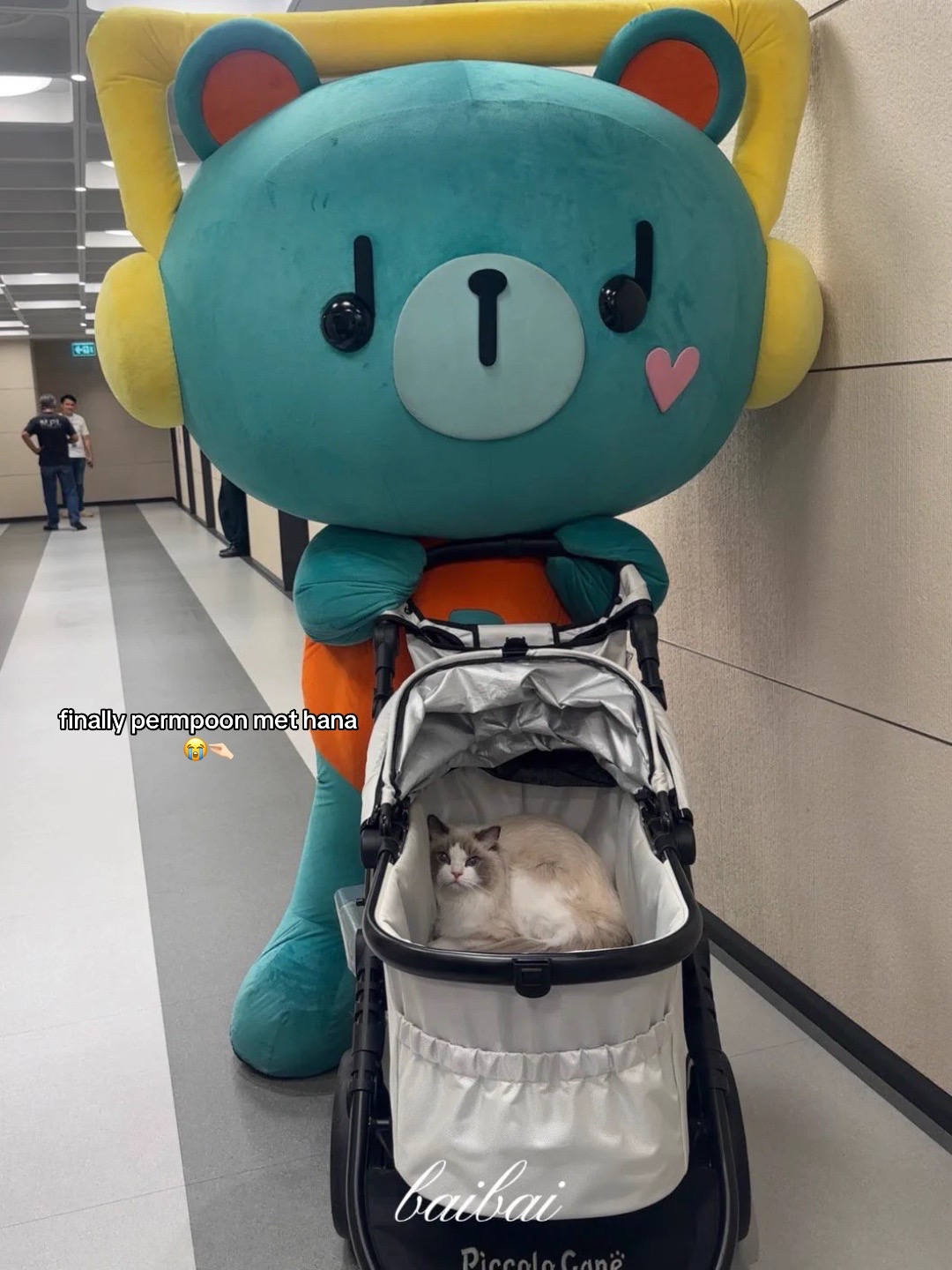 @ꜱᴀꜱᴀꜰʟɪꜱᴍ