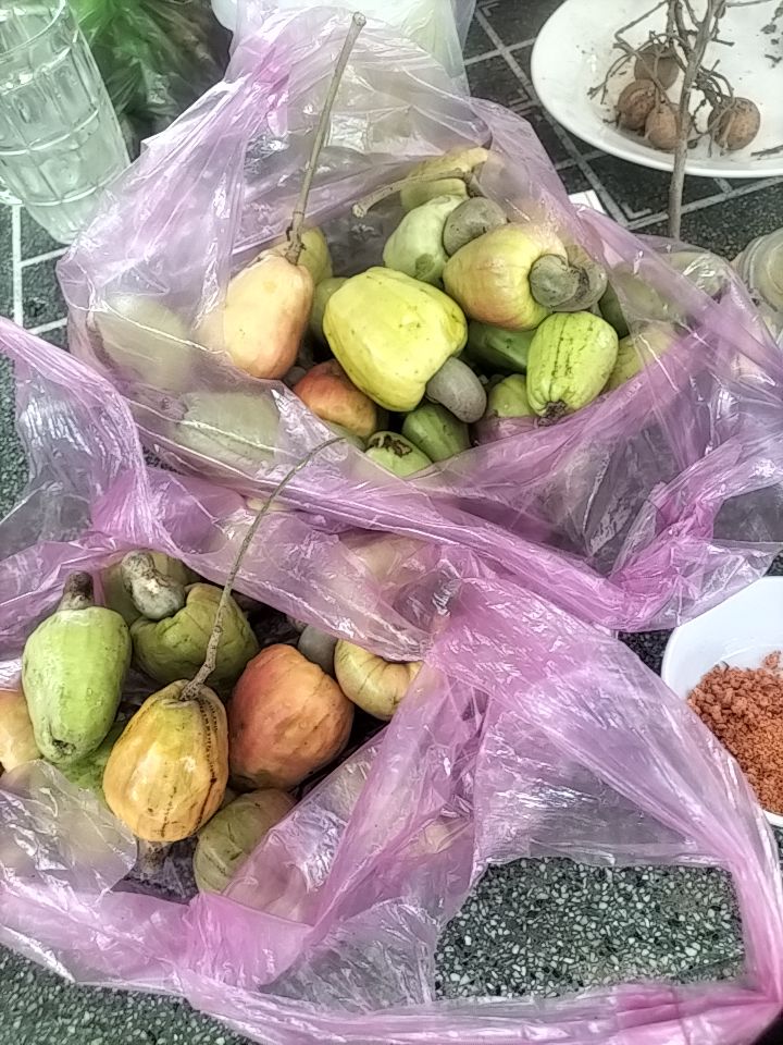 @🍒&uacute;t thăm 🍒