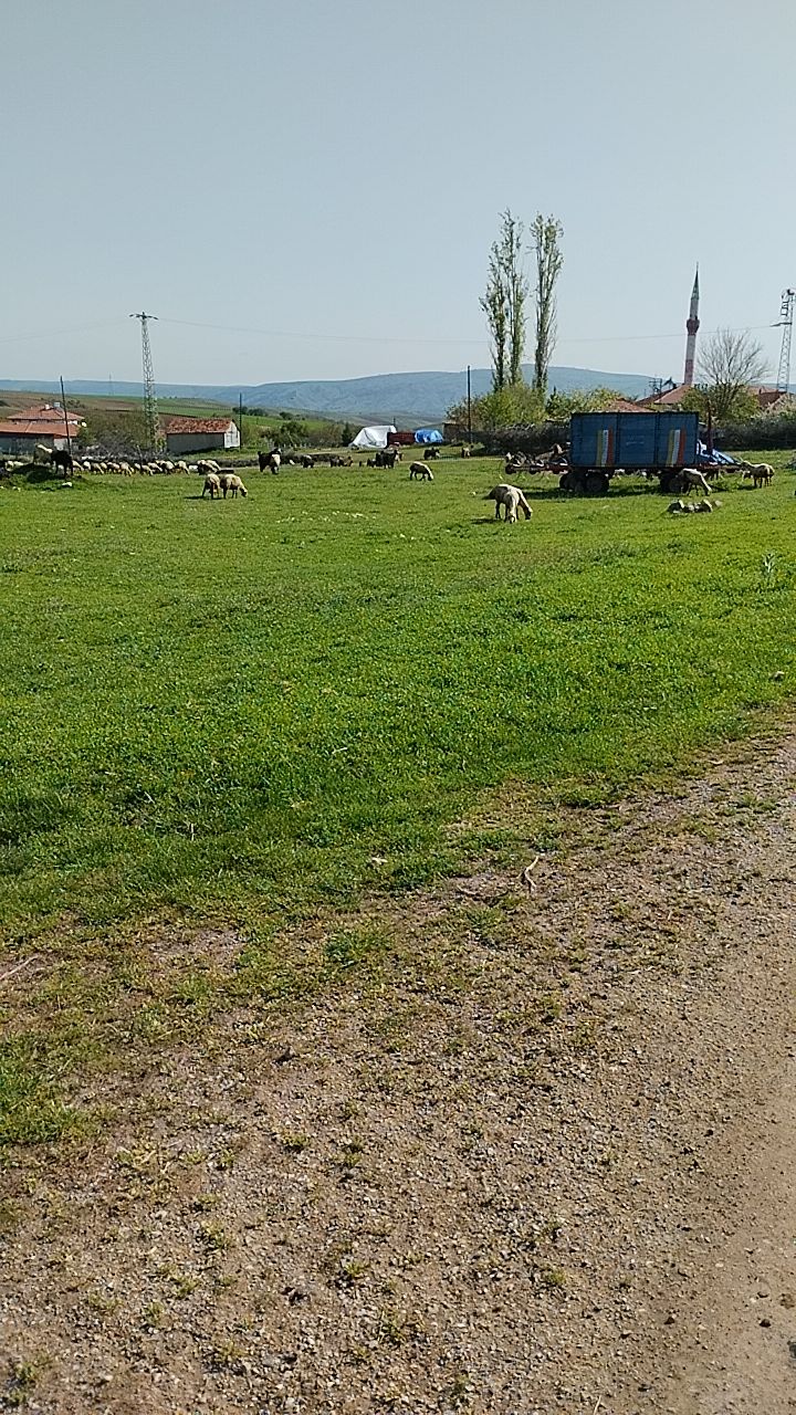 @&uuml;zeyir