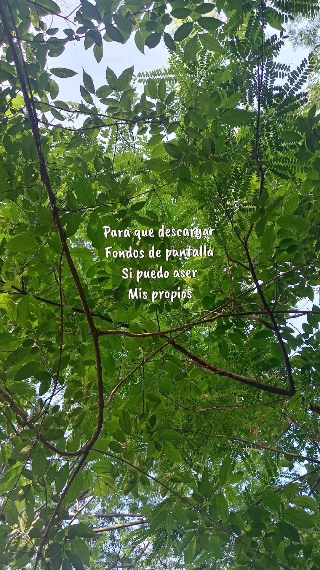 @💀suicide🇸🇻