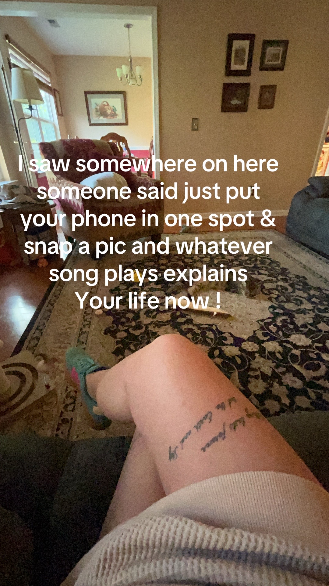 @Stephanie MacNeill