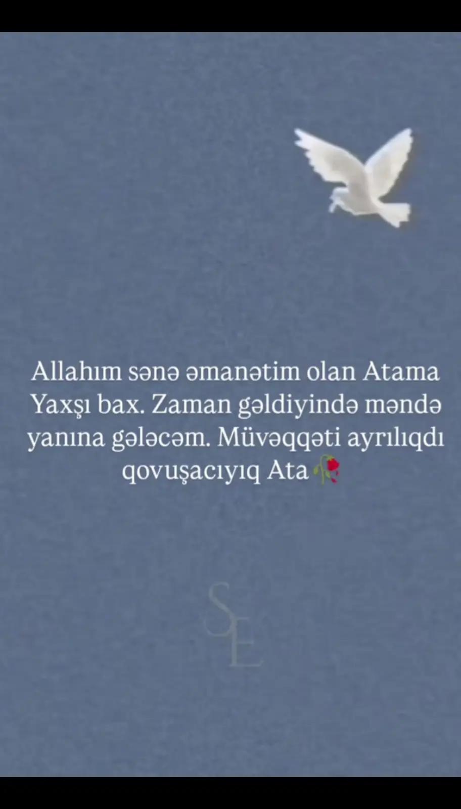 @❤️ Alimirzayeva❤️