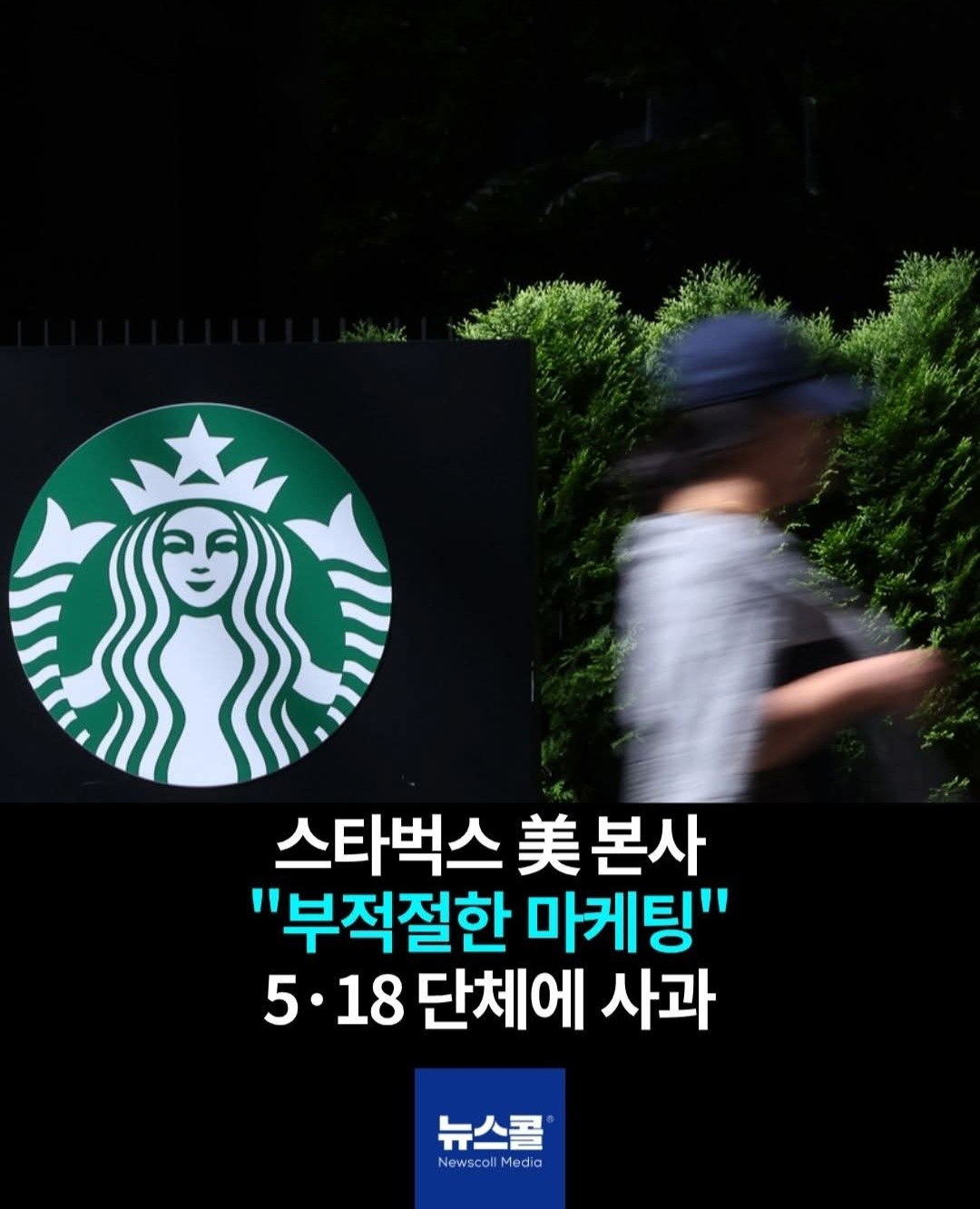 @🌺시라소니[본]🌺