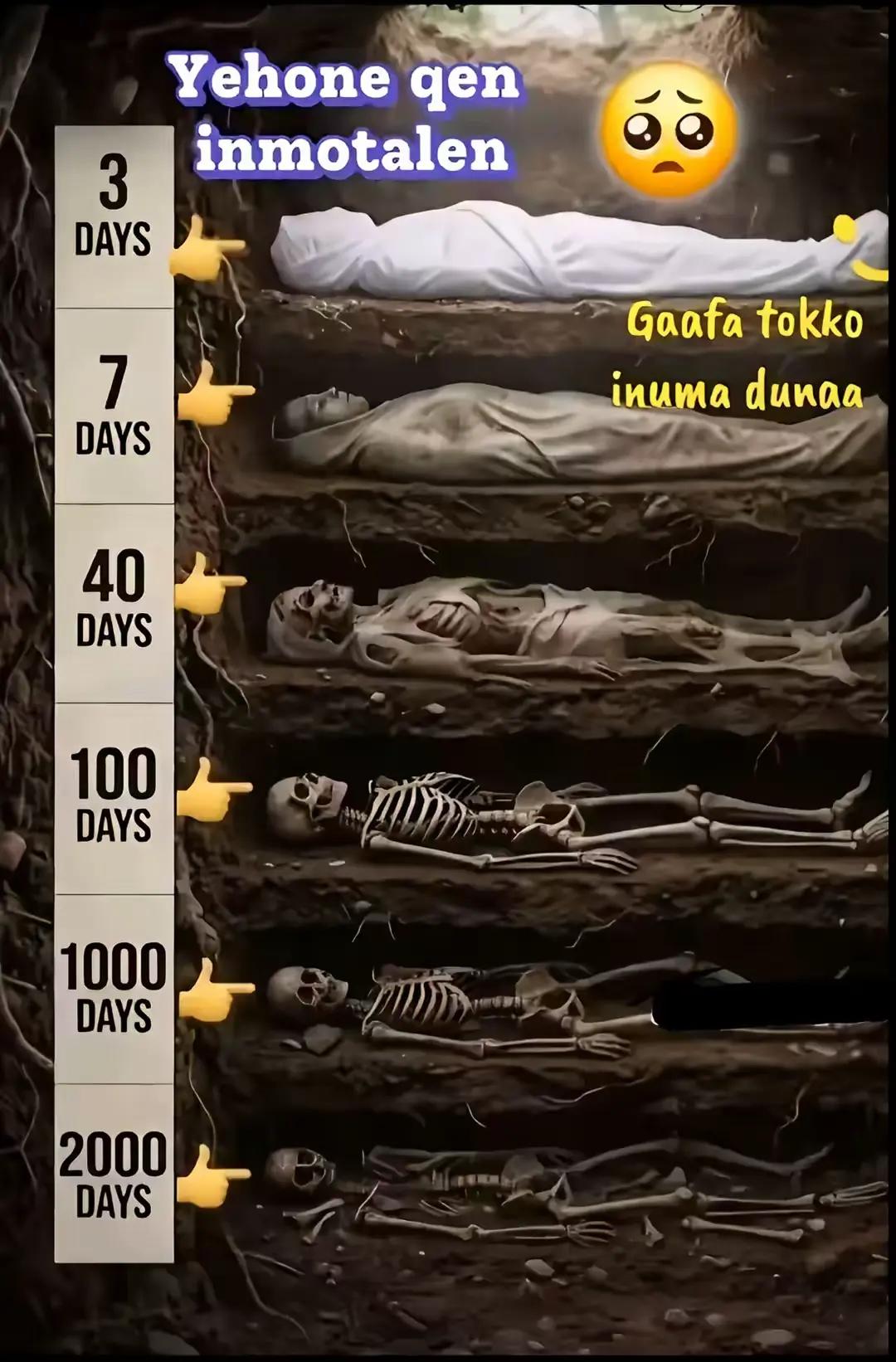 @Àk**PaTaÑ