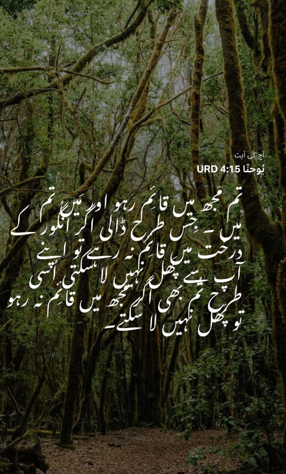@Imran Samuel