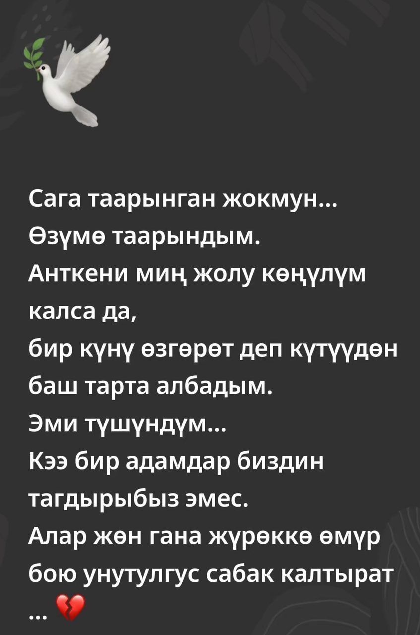 @Ыссык кульская.09