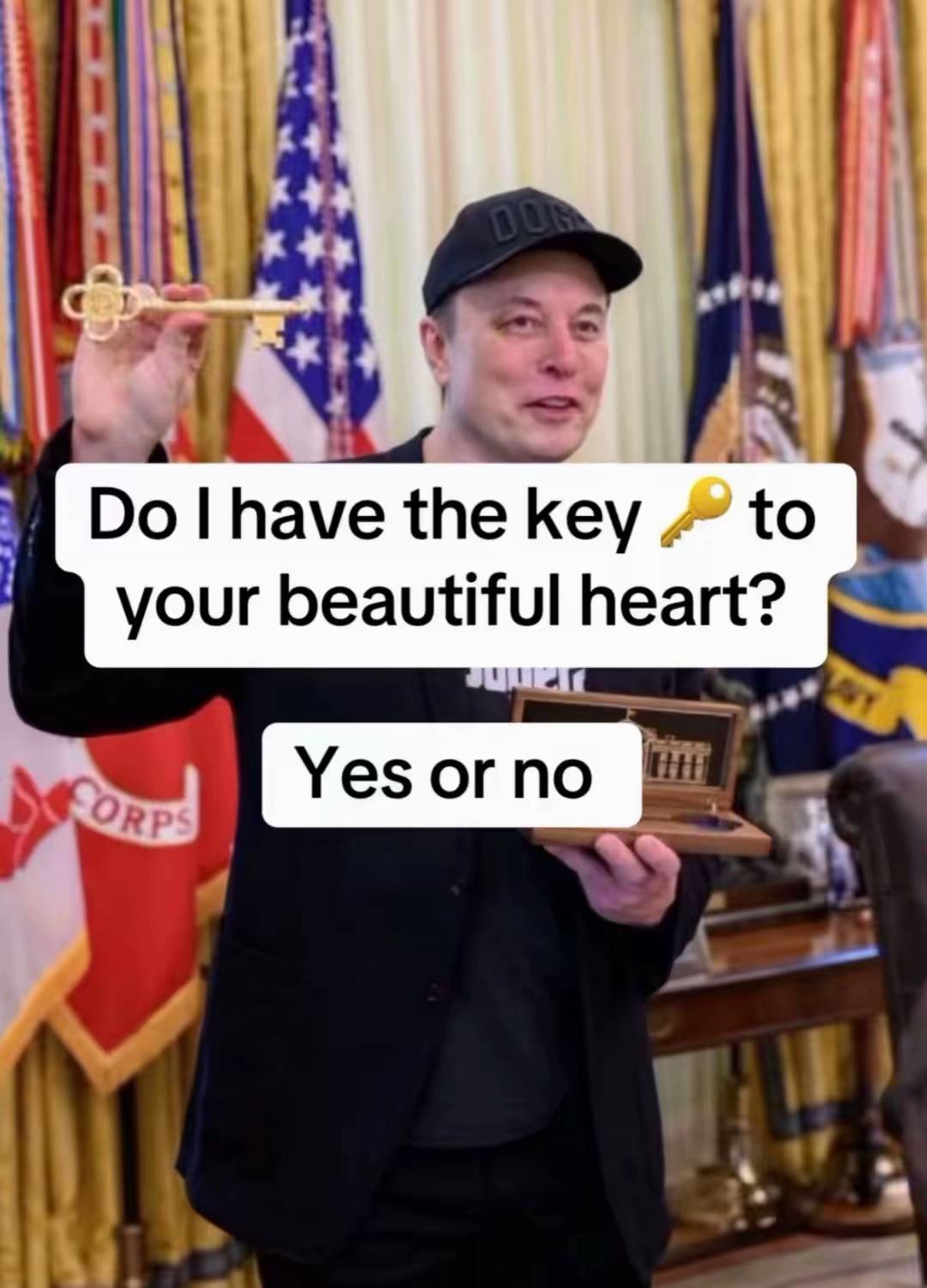 @Elon Musk