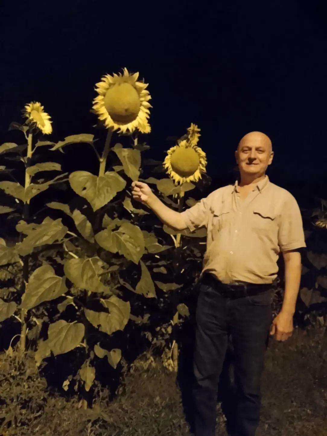 @Ali Tümkaya