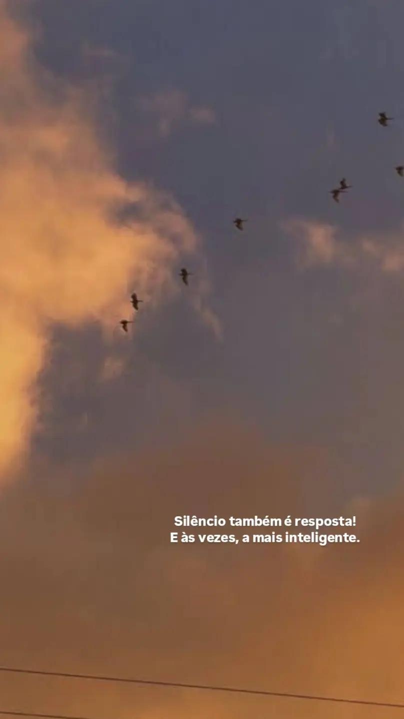 @Giovana Duarte✨