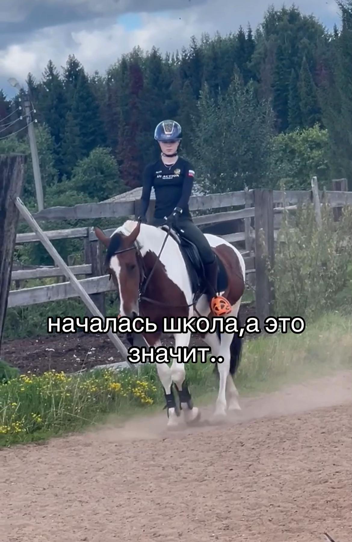 @Ли🐴