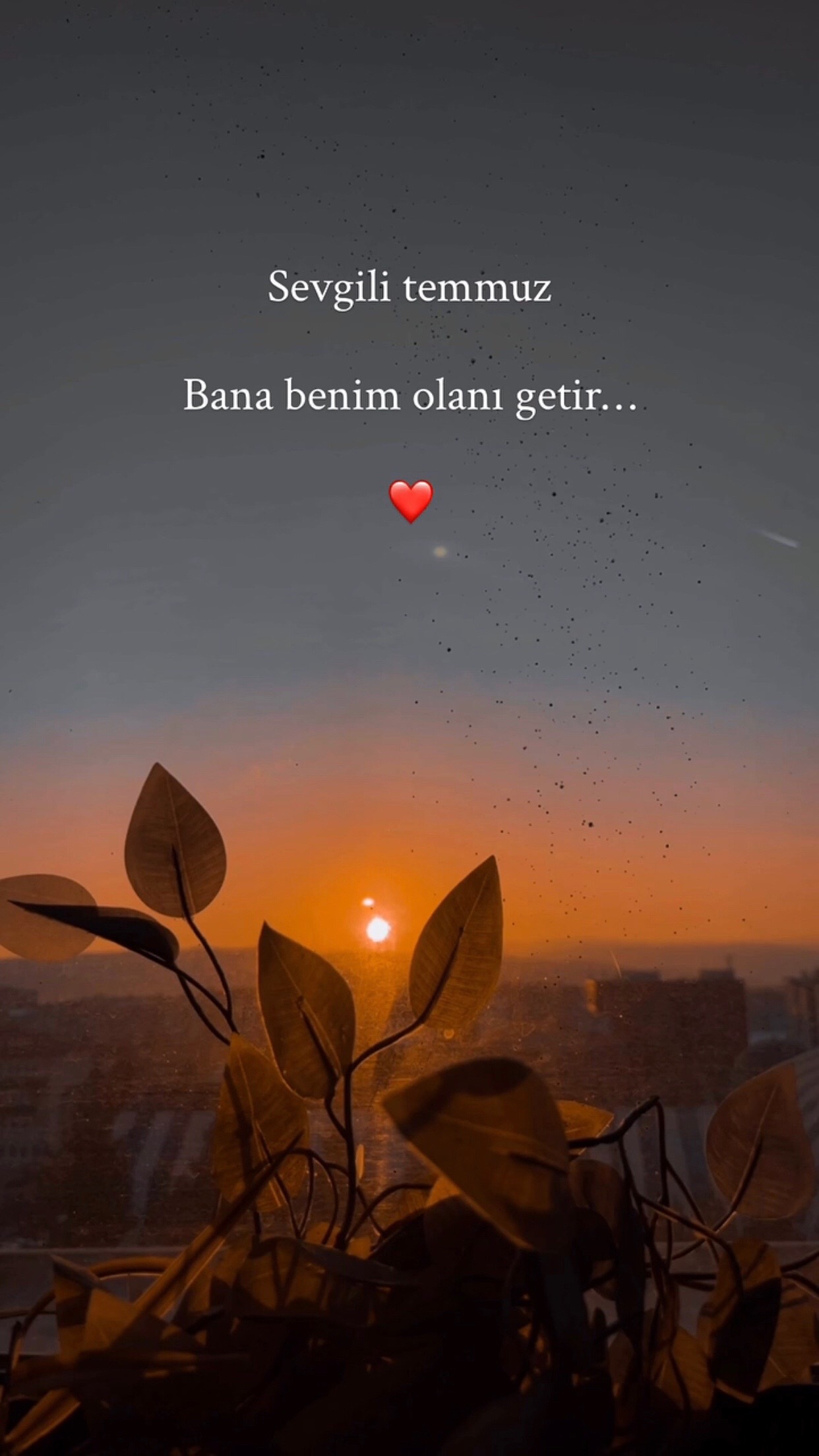 @MELEK 🎀